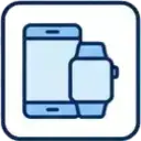 Consumer Electronics